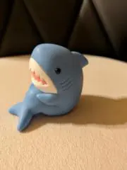 しまちゃんの画像