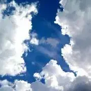Mの画像
