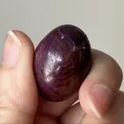 たまごの画像