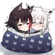 シャチ