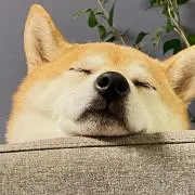 ぬま