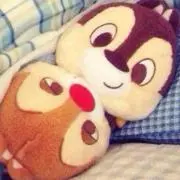 かしわ