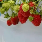 AHT♡〚プロフ確認必須〛の画像