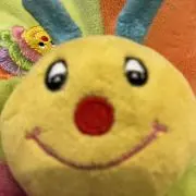 melodyの画像