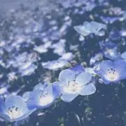 羽雲の画像