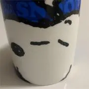 RSの画像