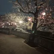とーはの画像