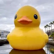 ひかるの画像