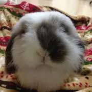Image of ともきち
