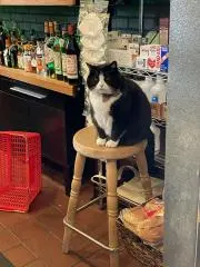 Kの画像