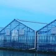 SHIGEの画像