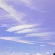 ココアの画像