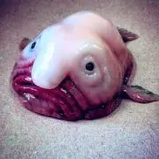 はははの画像
