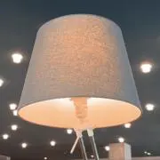 ぱぱの画像