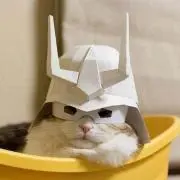 ましゅ☆ミ