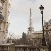 rimの画像