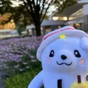 なるの画像