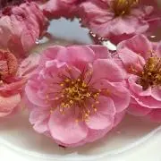 かりんとうの画像