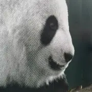 ☆まめっこ☆