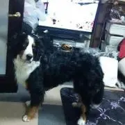 カズの画像