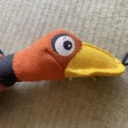 ラン蘭乱の画像