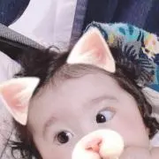ヒヨコの画像