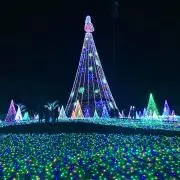 みかん