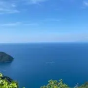t.sの画像