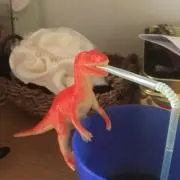 lhtysurly