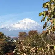 gogo59の画像