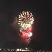 しかこの画像
