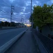 竜胆