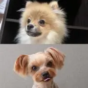 ままん