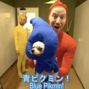 田中ちゃんの画像