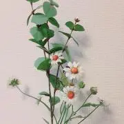 断捨離中！の画像