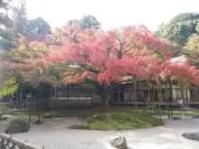 みくみの画像