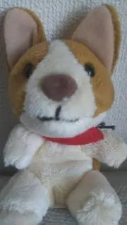 ながいぬい