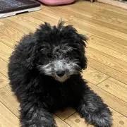 あいの画像