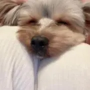 kの画像