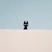 あの画像