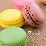 マルル（8/15〜24発送不可）