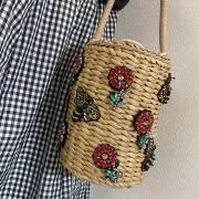 どんちゃんの画像