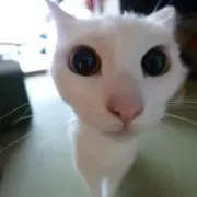 Mの画像