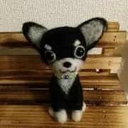 かんころの画像