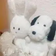 さくらの画像