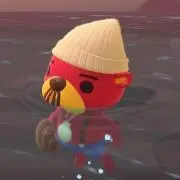 らっこ