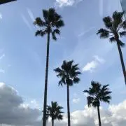 az