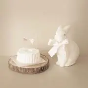hachiの画像