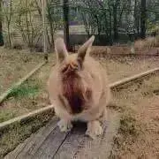 Mの画像
