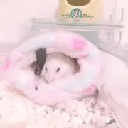 shomaの画像